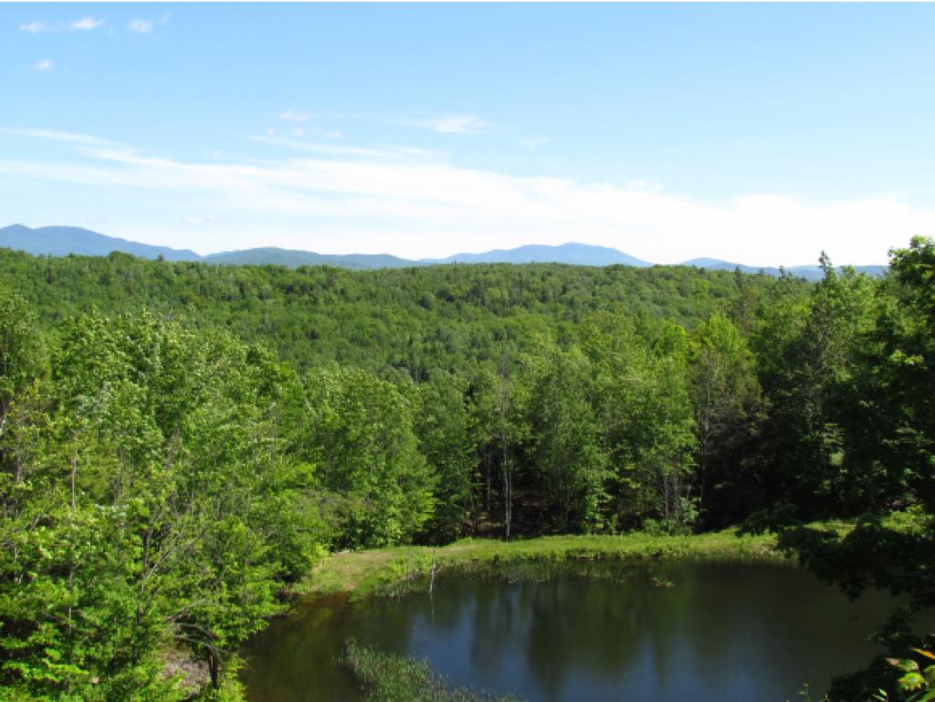 250 Wilderness Acres Road Lyman, NH 03585 - Photo 1 of 34