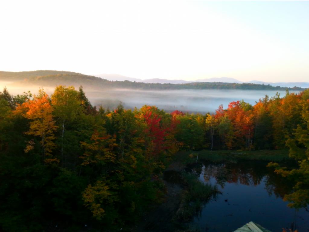 250 Wilderness Acres Road Lyman, NH 03585 - Photo 2 of 34
