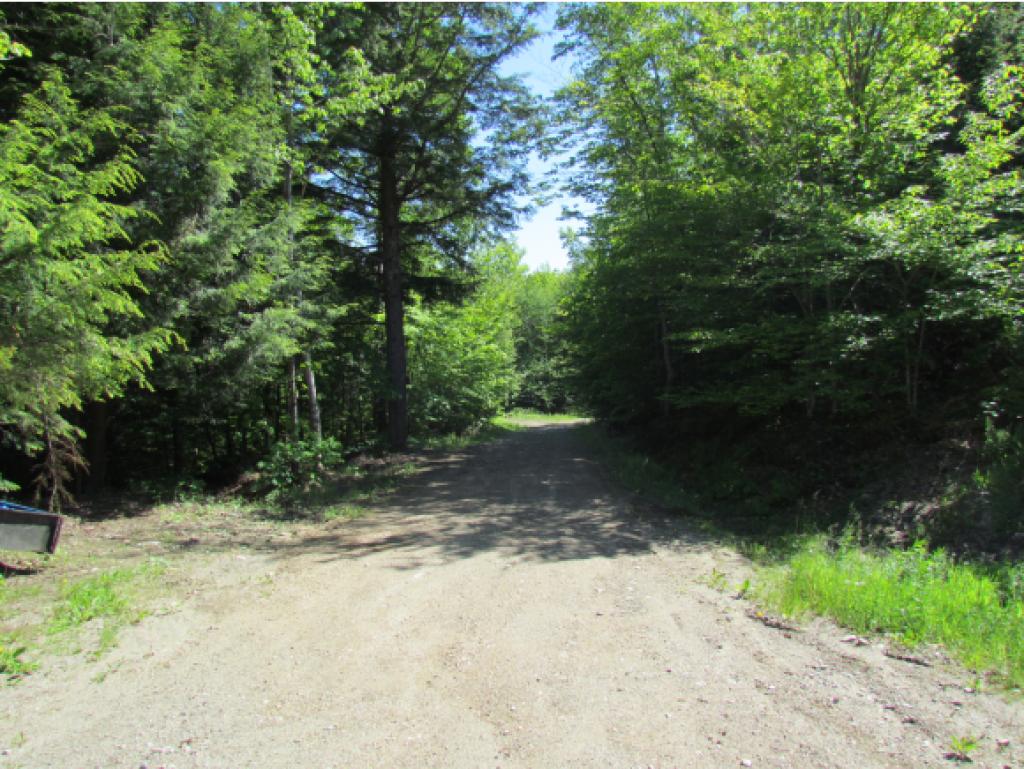 250 Wilderness Acres Road Lyman, NH 03585 - Photo 27 of 34