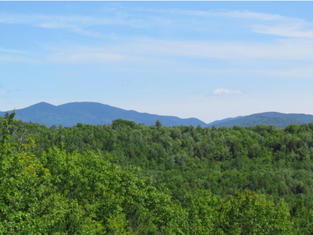 250 Wilderness Acres Road Lyman, NH 03585 - Photo 6 of 34