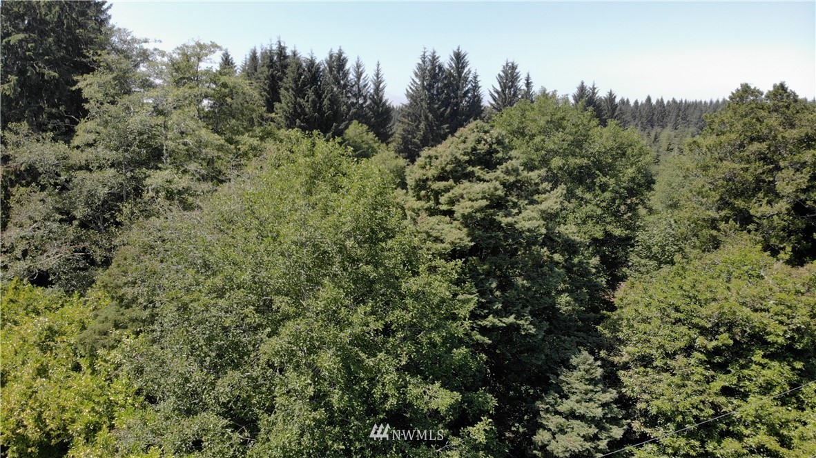 41 Mina Smith Road Forks, WA 98331 - Photo 1 of 4 Gallery Image 1