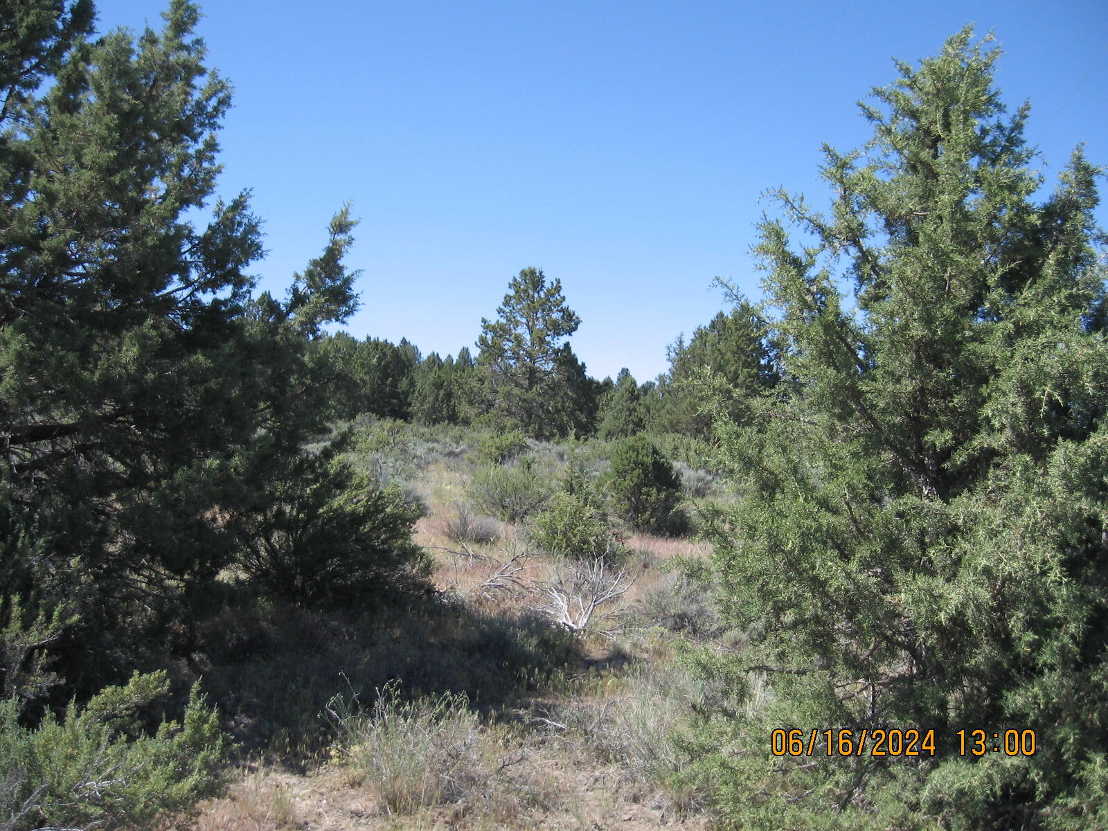 Drews Road Chiloquin, OR 97624 - Photo 1 of 19 1
