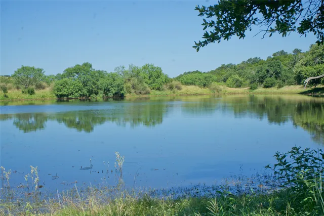 a view of a lake with a yard and large trees