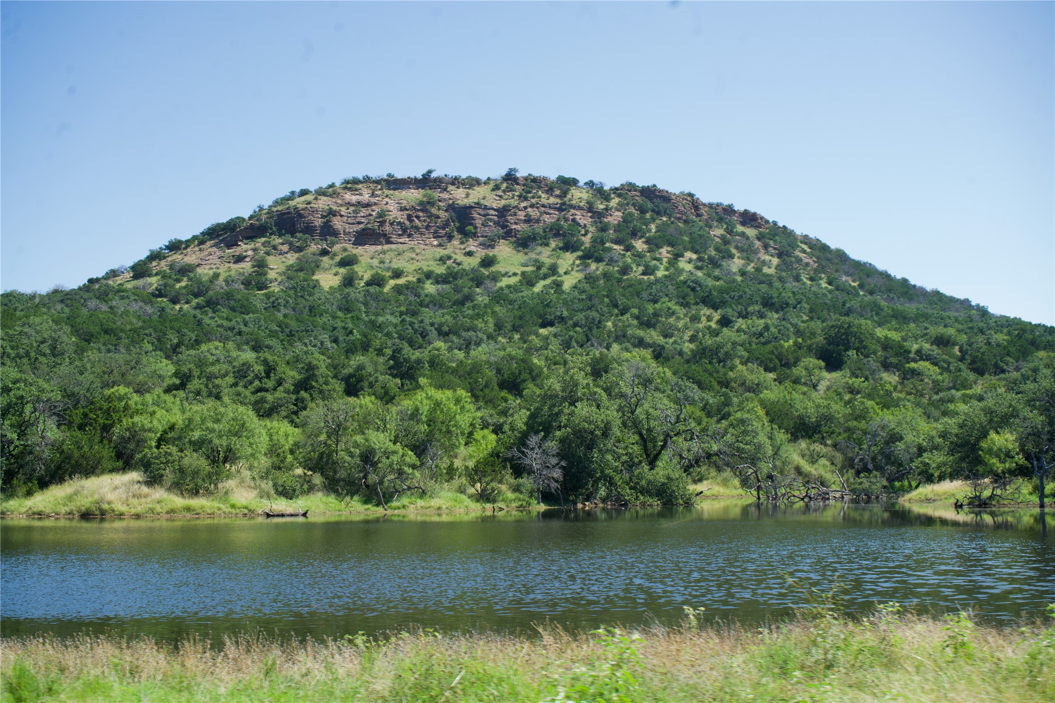 585 Hickory Spring Road Willow City, TX 78675 - Photo 5 of 25 a view of a lake with a yard