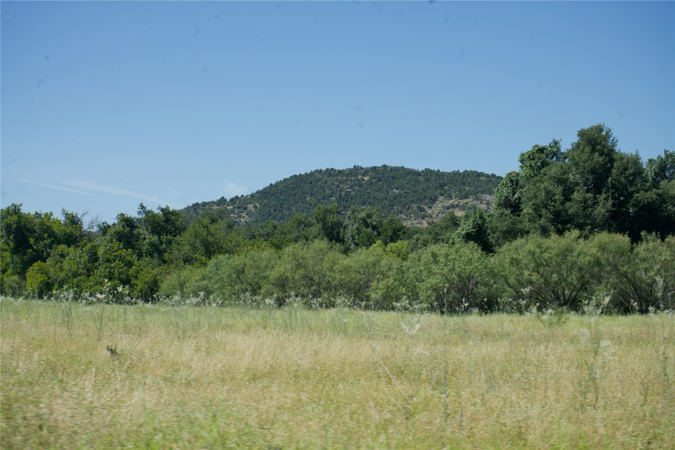 585 Hickory Spring Road Willow City, TX 78675 - Photo 6 of 25 a view of a lake with a mountain in the background