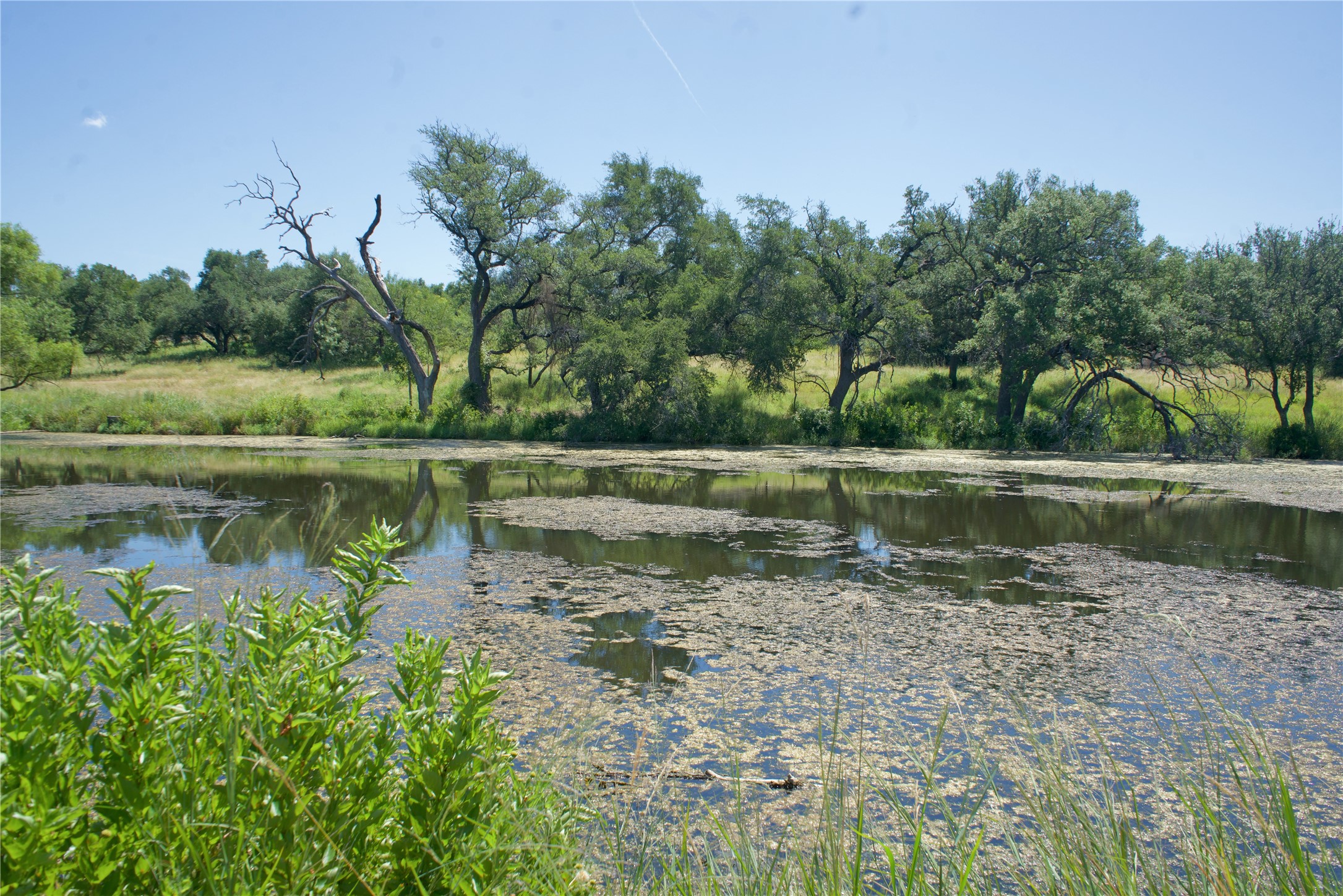 585 Hickory Spring Road Willow City, TX 78675 - Photo 8 of 25 a view of a lake with a yard and large trees