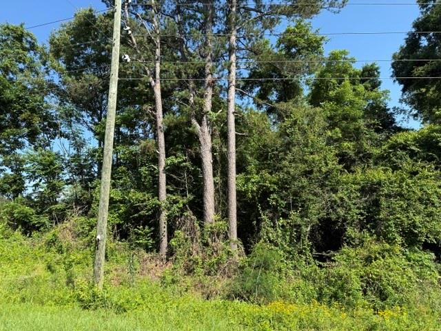 949 Ford Road Homer, LA 71040 - Photo 10 of 16