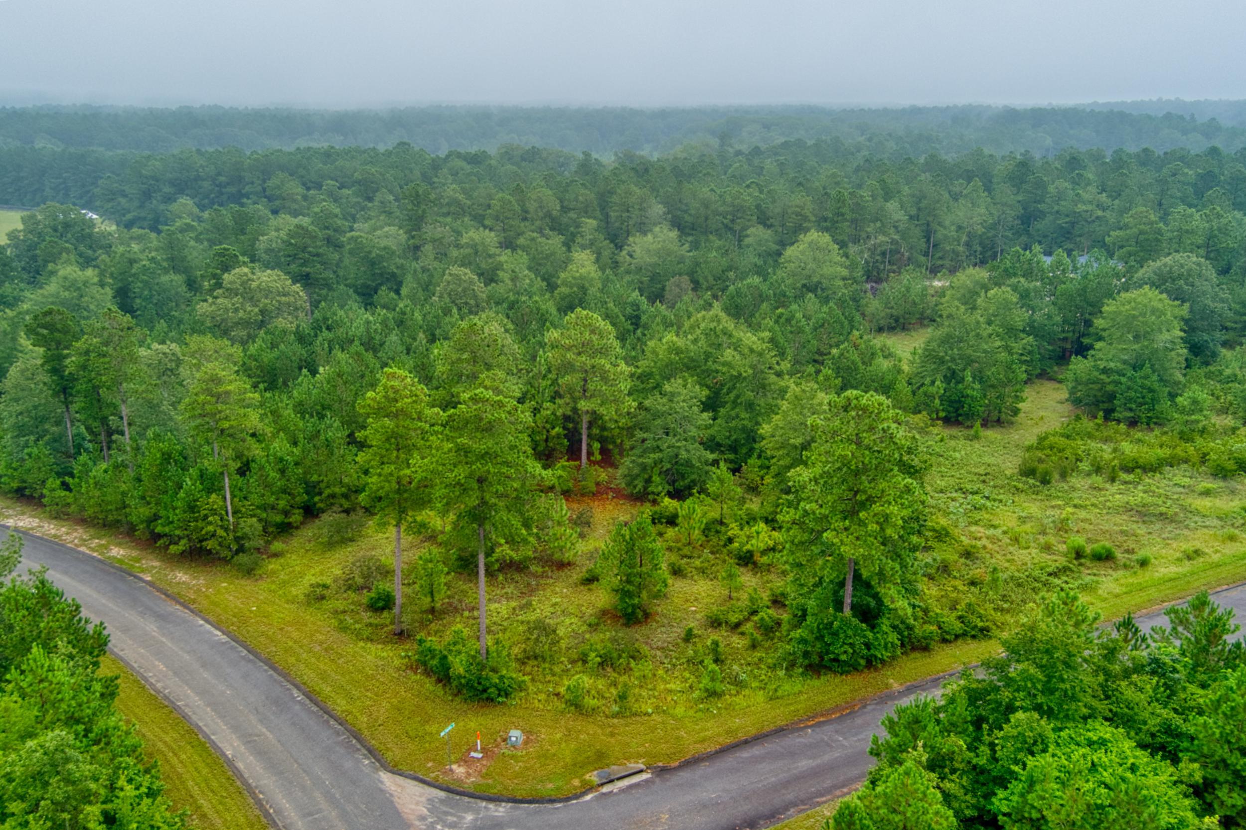 Lot 5 Cooks Pond Road Windsor, SC 29856 - Photo 1 of 23
