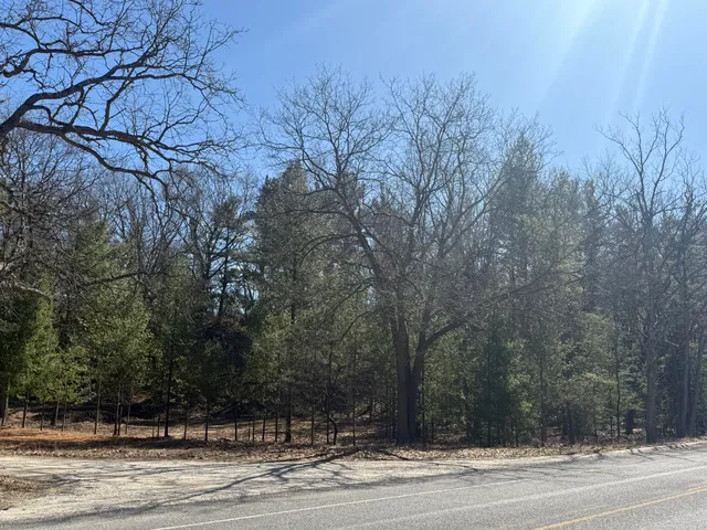 $75,000 | 4.39 Acres Branch, Pentwater, MI 49449