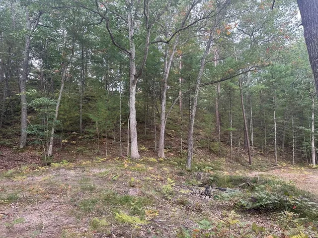 $75,000 | 4.39 Acres Branch, Pentwater, MI 49449
