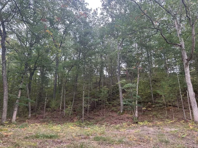 $75,000 | 4.39 Acres Branch, Pentwater, MI 49449