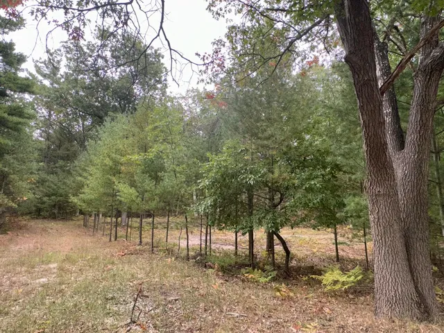 $75,000 | 4.39 Acres Branch, Pentwater, MI 49449