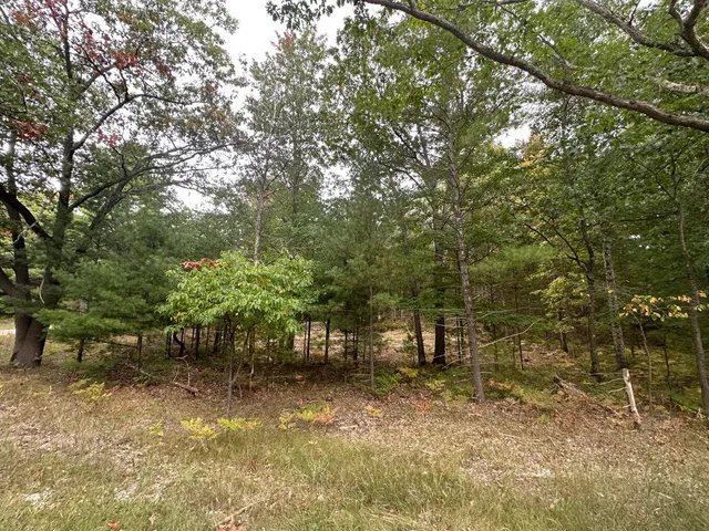 $75,000 | 4.39 Acres Branch, Pentwater, MI 49449