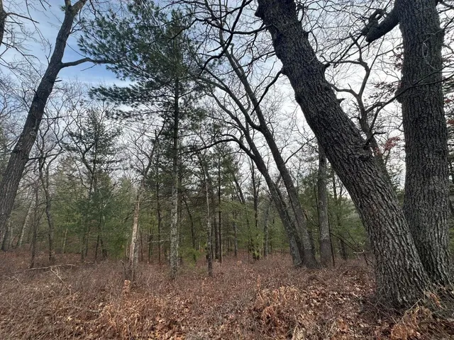 $75,000 | 4.39 Acres Branch, Pentwater, MI 49449