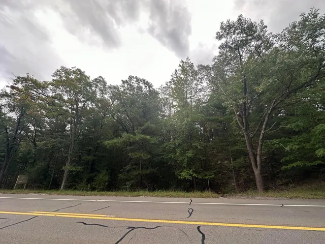 $75,000 | 4.39 Acres Branch, Pentwater, MI 49449