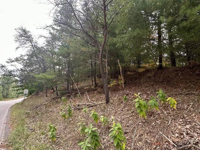 $75,000 | 4.39 Acres Branch, Pentwater, MI 49449
