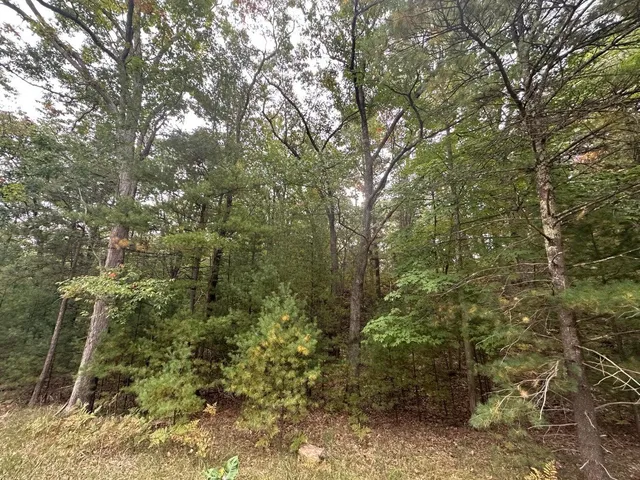 $75,000 | 4.39 Acres Branch, Pentwater, MI 49449