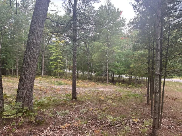 $75,000 | 4.39 Acres Branch, Pentwater, MI 49449