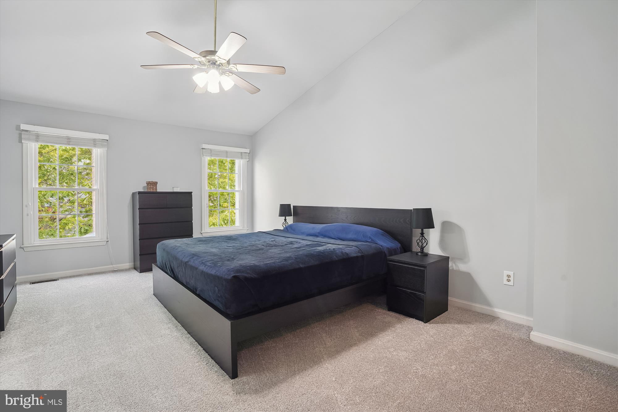 20944 Sandstone Square Sterling, VA 20165 - Photo 14 of 26 Primary bedroom with vaulted ceilings