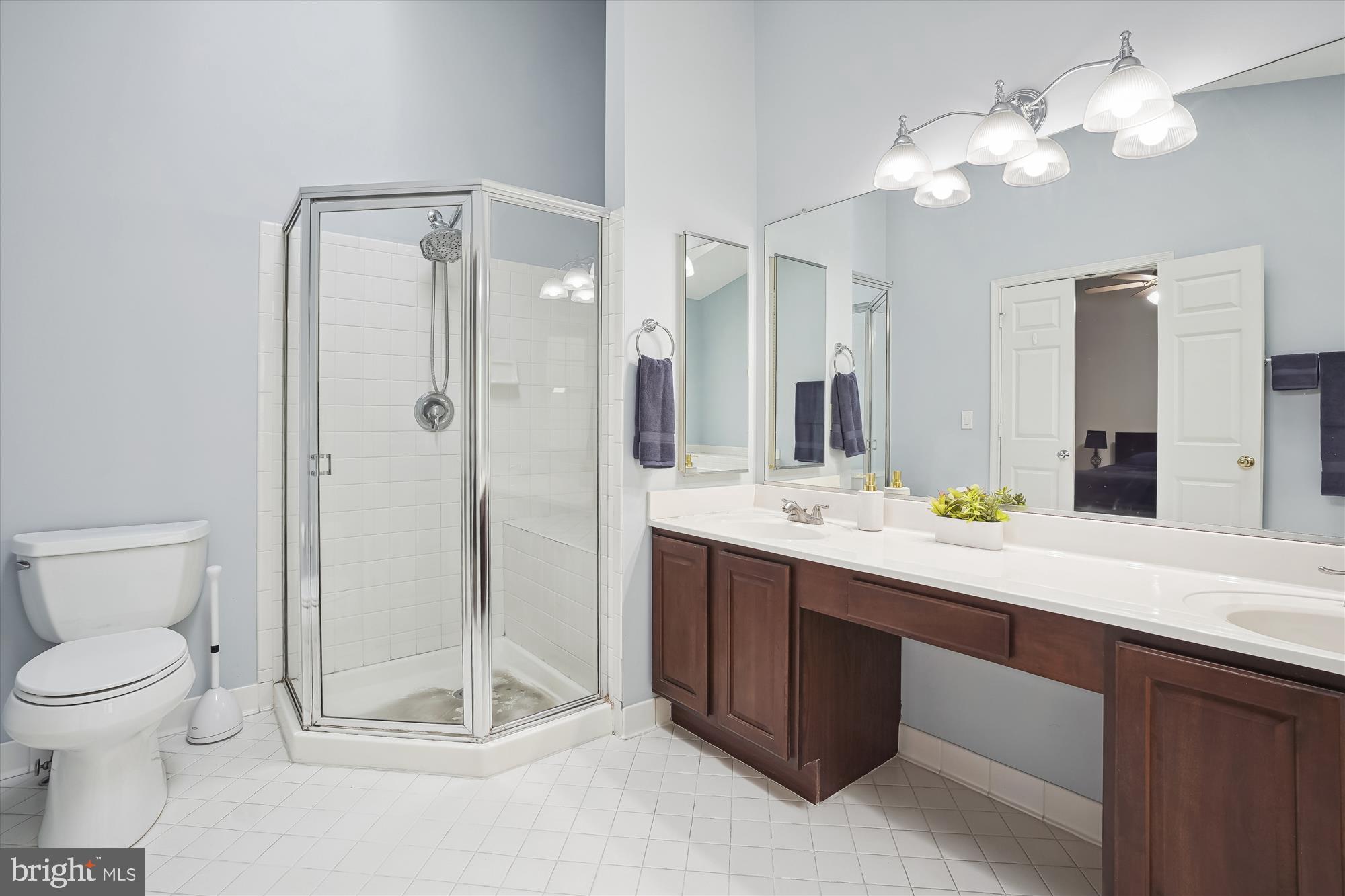 20944 Sandstone Square Sterling, VA 20165 - Photo 17 of 26 Separate shower