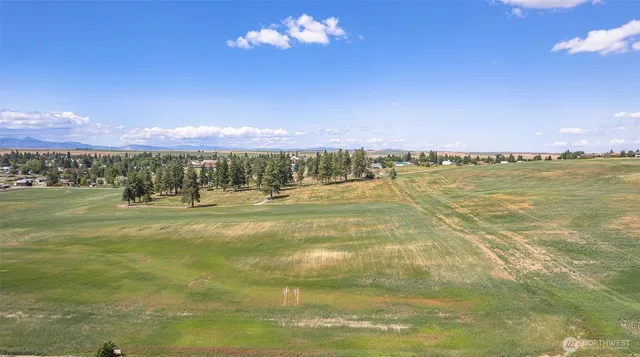 a view of a lake with a mountain in the background