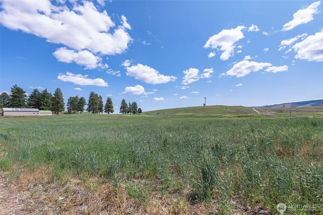 a view of a big yard with lots of green space