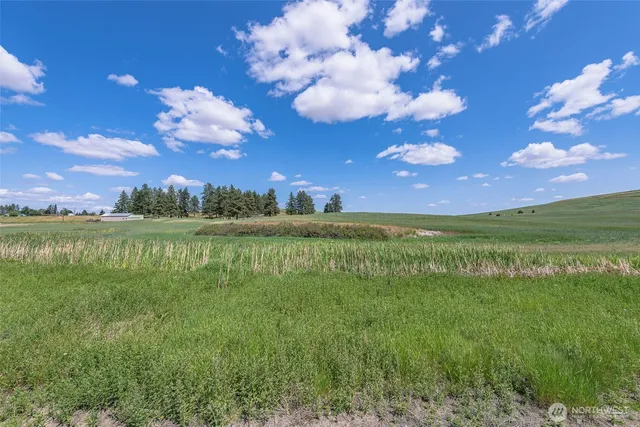 a view of a lake with a big yard