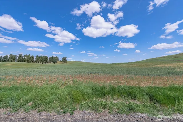 a view of a city with lots of green space
