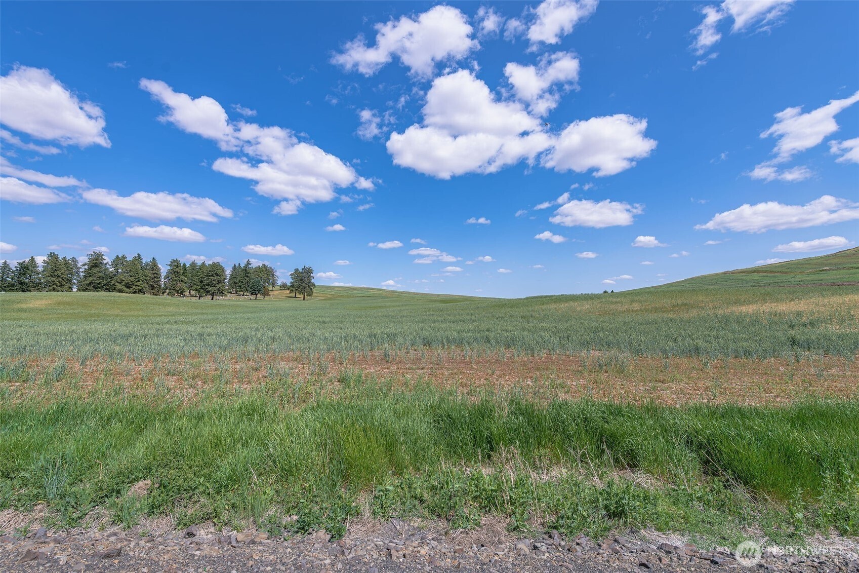 0 Unassigned Waterville, WA 98858 - Photo 18 of 23 a view of a city with lots of green space