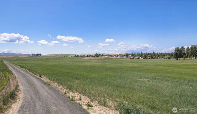 a view of a lake with a big yard
