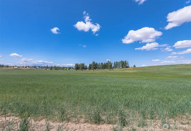 a view of a building and yard