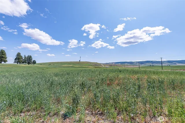 a view of a building with a big yard