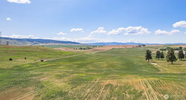 a view of an ocean and beach