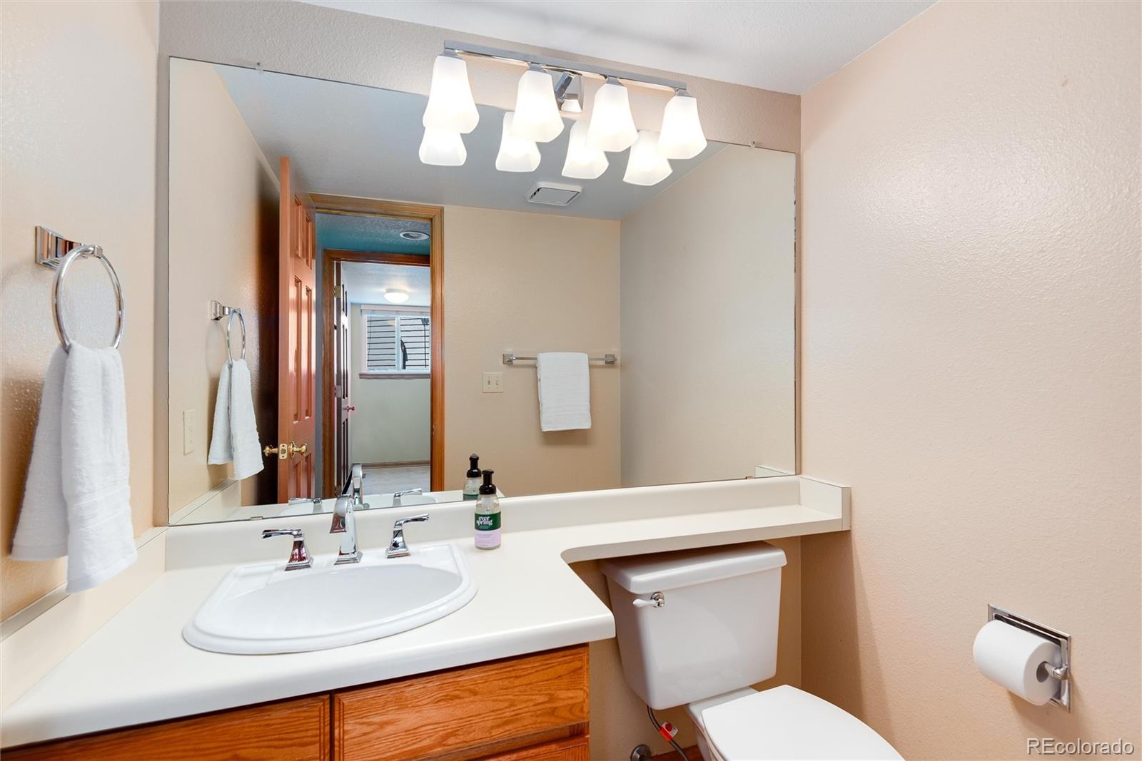 2526 Spring Hill Court Highlands Ranch, CO 80129 - Photo 20 of 35 Gallery Image 20