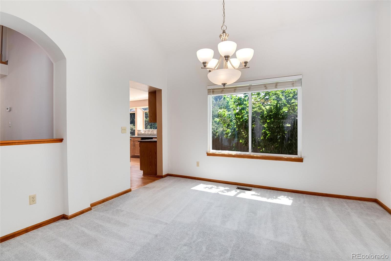 2526 Spring Hill Court Highlands Ranch, CO 80129 - Photo 10 of 35 Gallery Image 10
