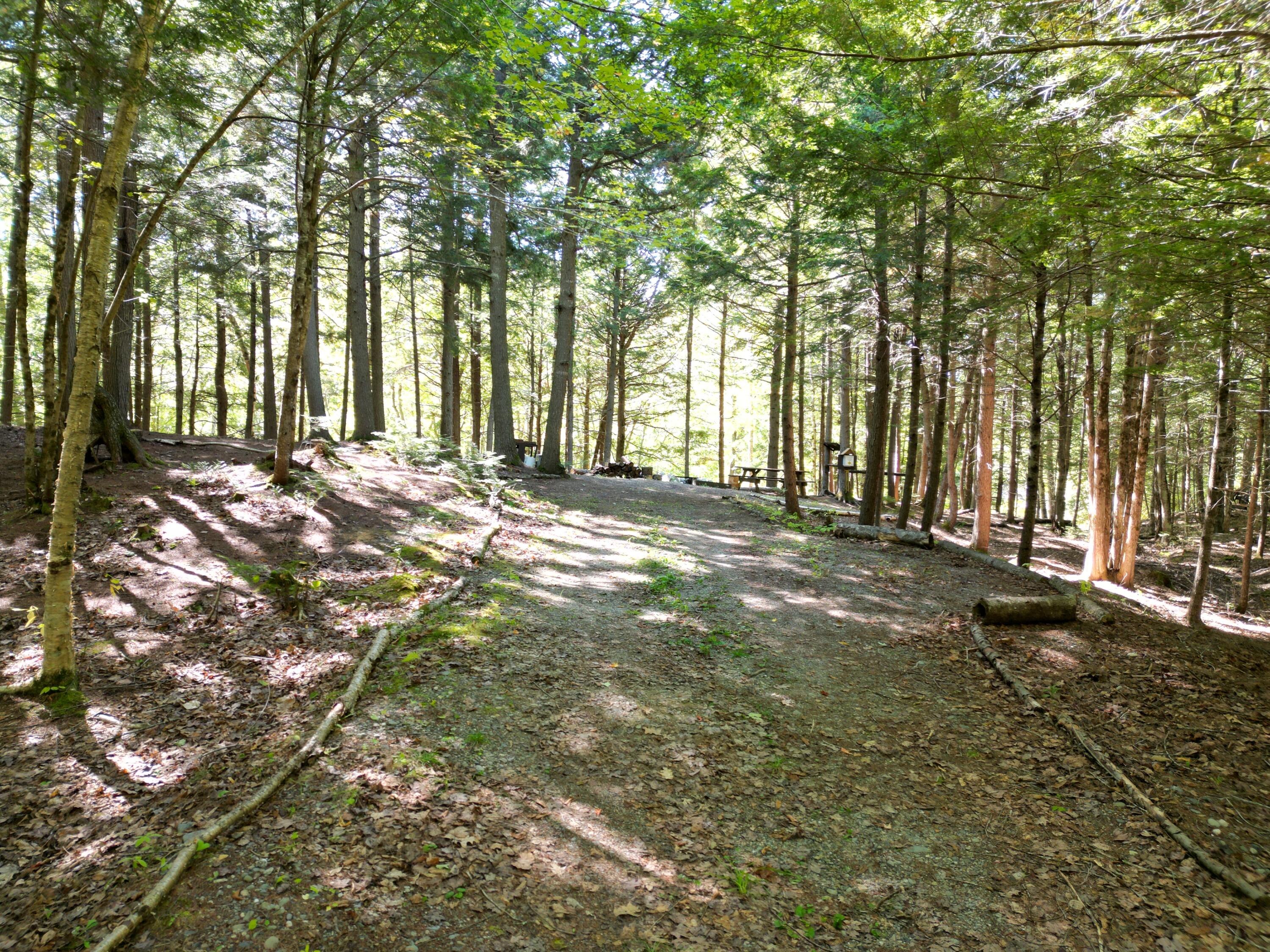 27-29 Loop Road Chester, ME 04457 - Photo 24 of 46 DJI_0029