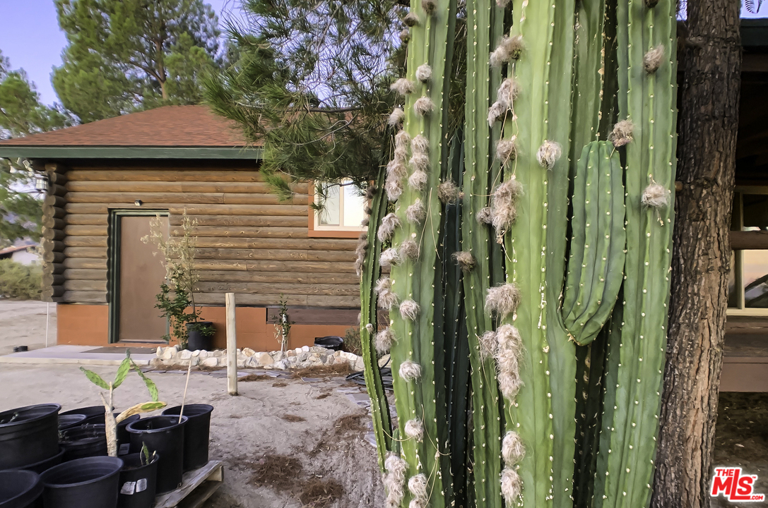 11487 Oasis Road Pinon Hills, CA 92372 - Photo 22 of 28 Gallery Image 22