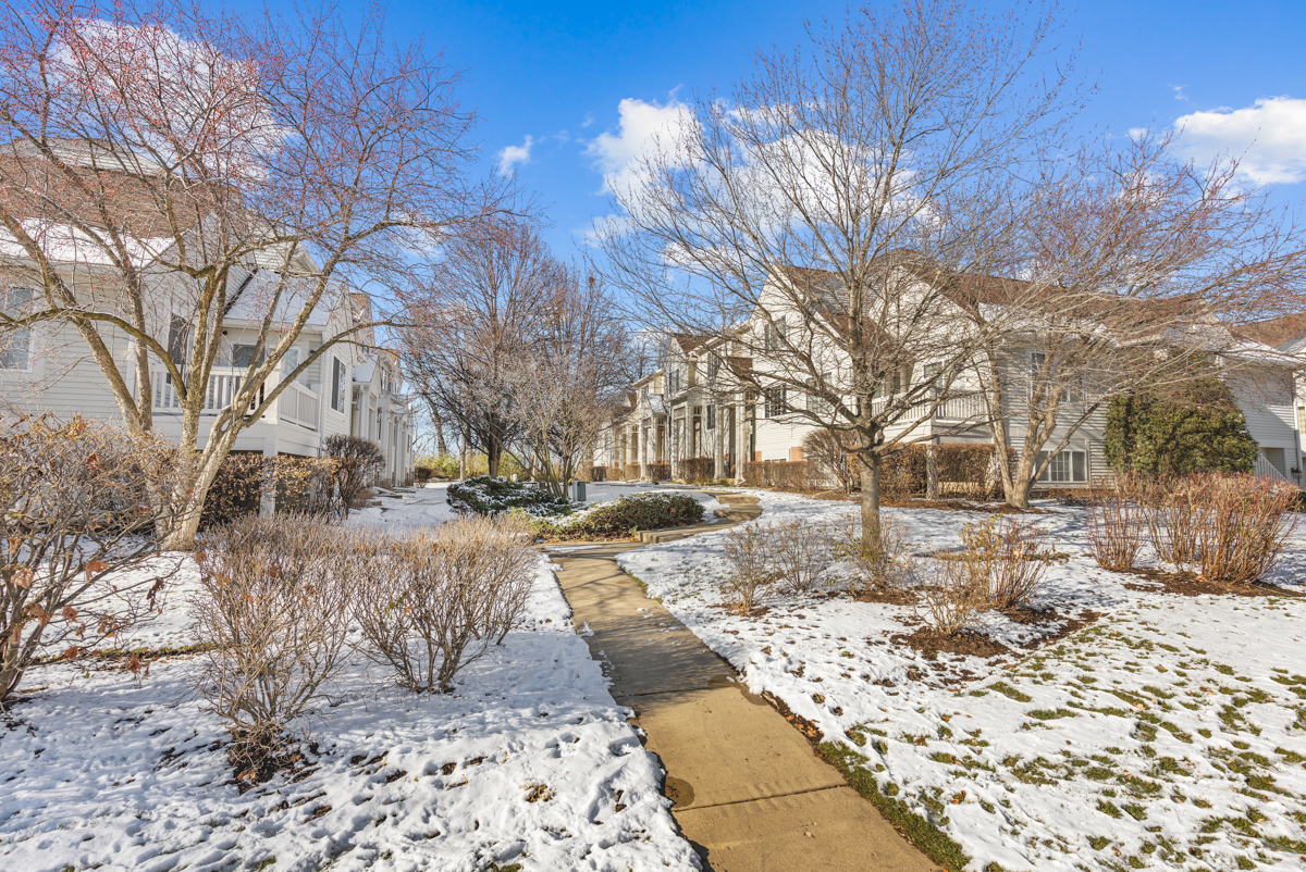 232 New Haven Drive Cary, IL 60013 - Photo 11 of 25 a view of a yard covered with snow in front of house
