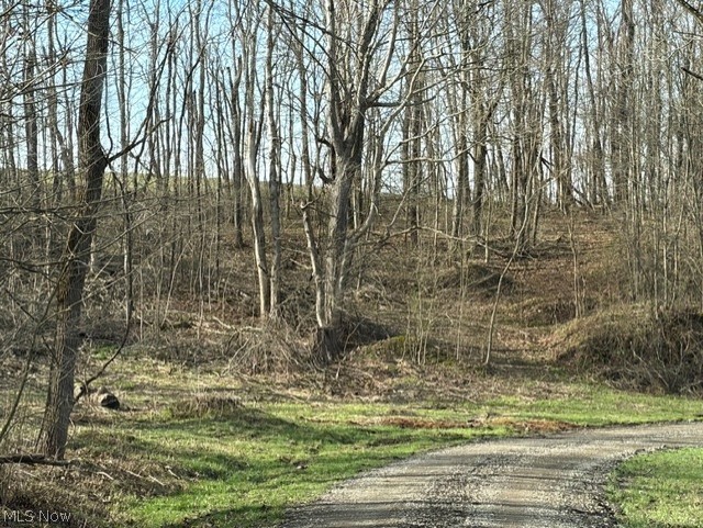 540 Flag Dale Road South Junction City, OH 43748 - Photo 22 of 22