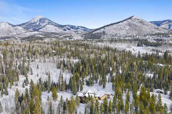 a view of a lot of trees and houses