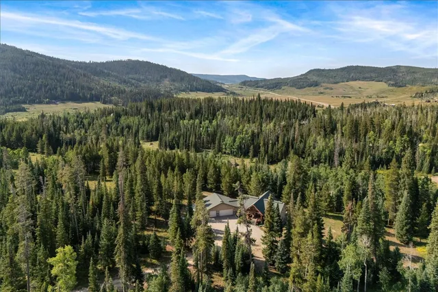 a view of a city with lush green forest