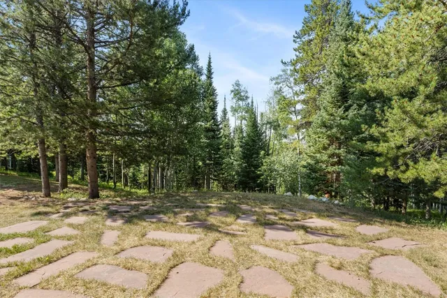 a view of outdoor space with trees