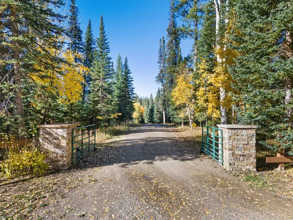 a view of a street with a trees