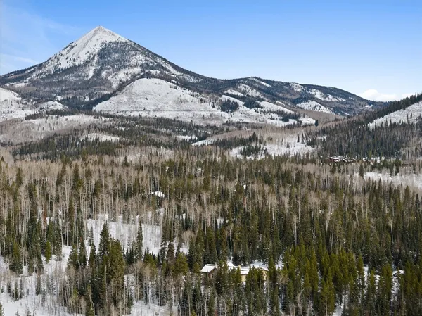 a view of a patio with couches and table and chairs with wooden fence and plants