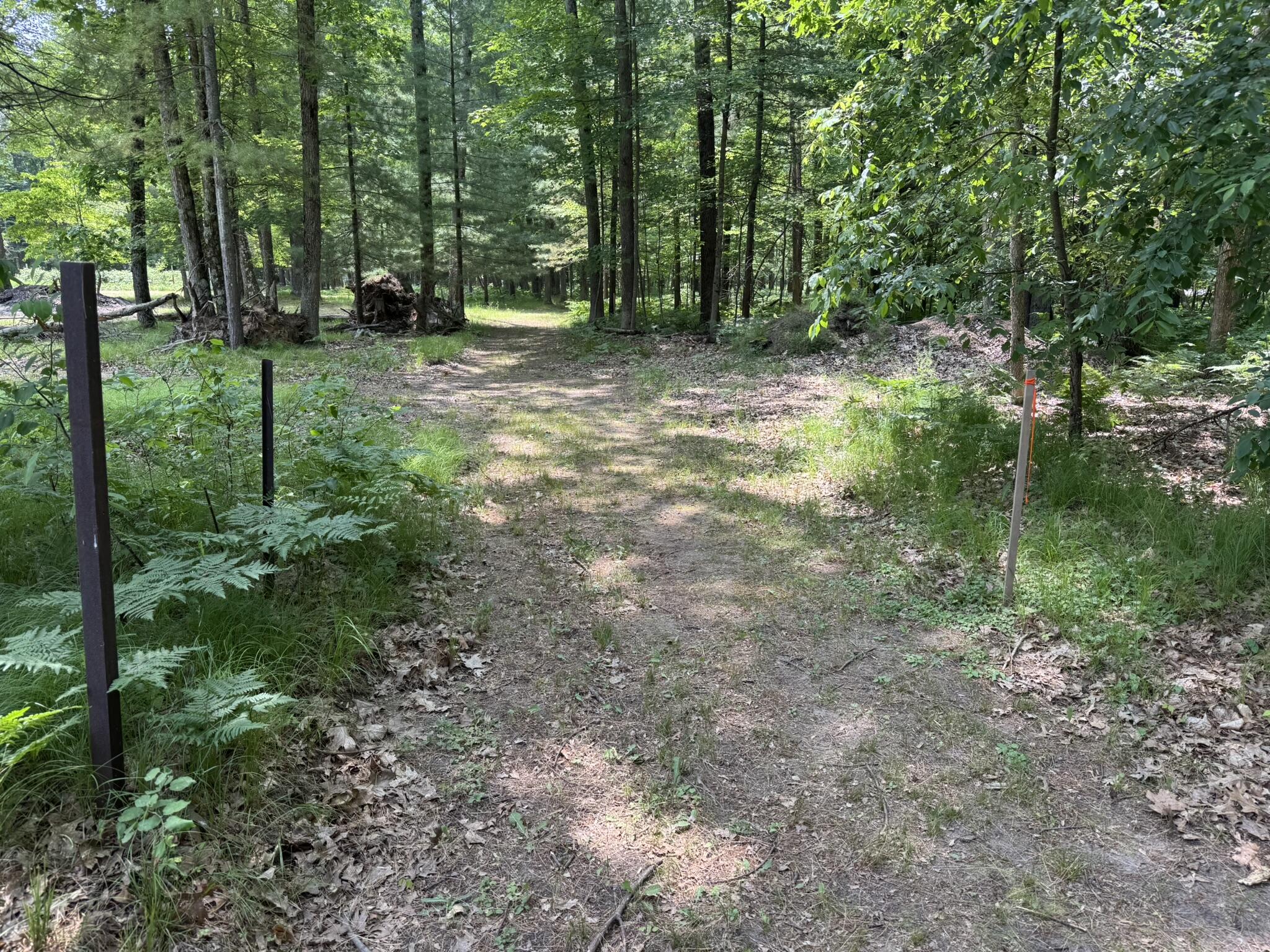 5859 North Utter Road Irons, MI 49644 - Photo 24 of 32 IMG_9459