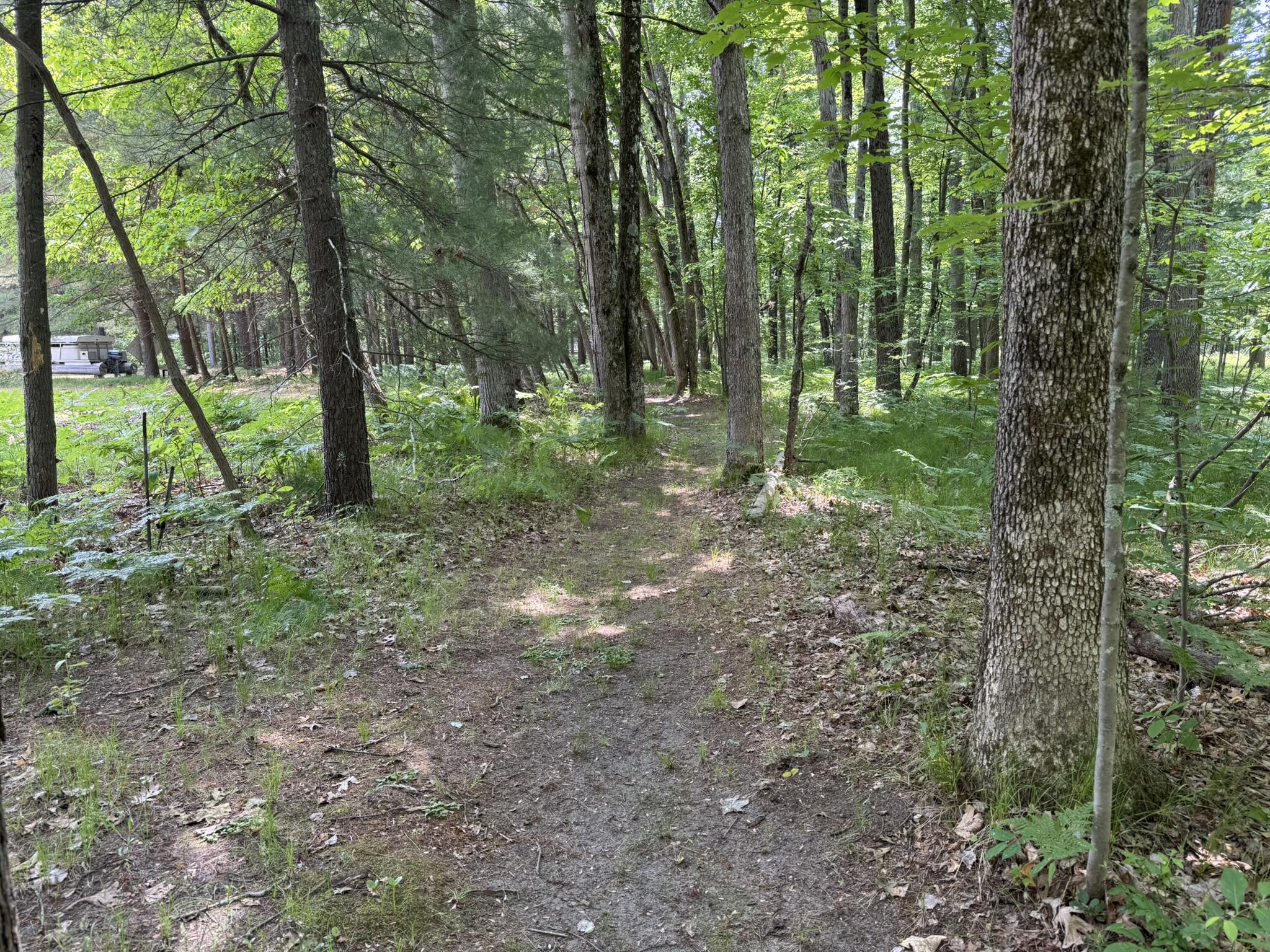 5859 North Utter Road Irons, MI 49644 - Photo 25 of 32 IMG_9460