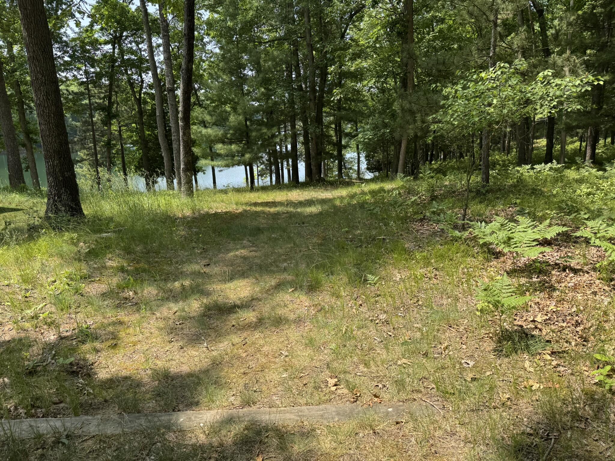 5859 North Utter Road Irons, MI 49644 - Photo 26 of 32 IMG_9461