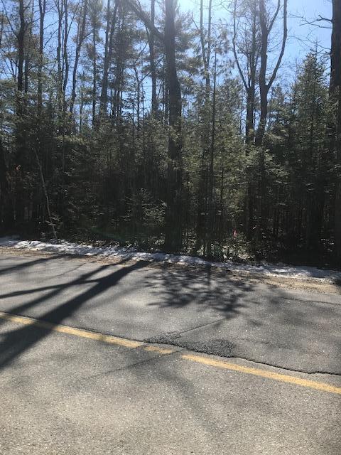 0 Brimstone Road Arundel, ME 04046 - Photo 4 of 5 Brimstone 2