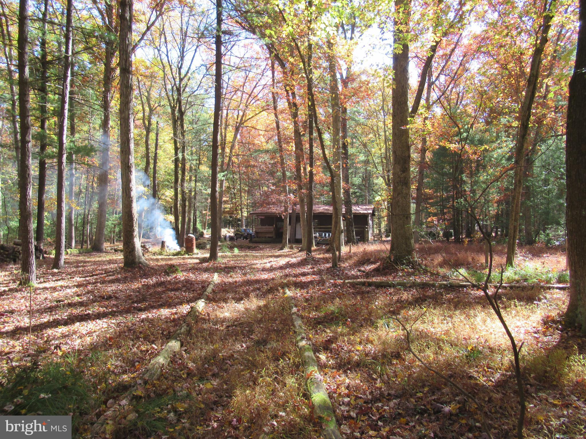 250 Norris Road Biglerville, PA 17307 - Photo 20 of 22 Backyard