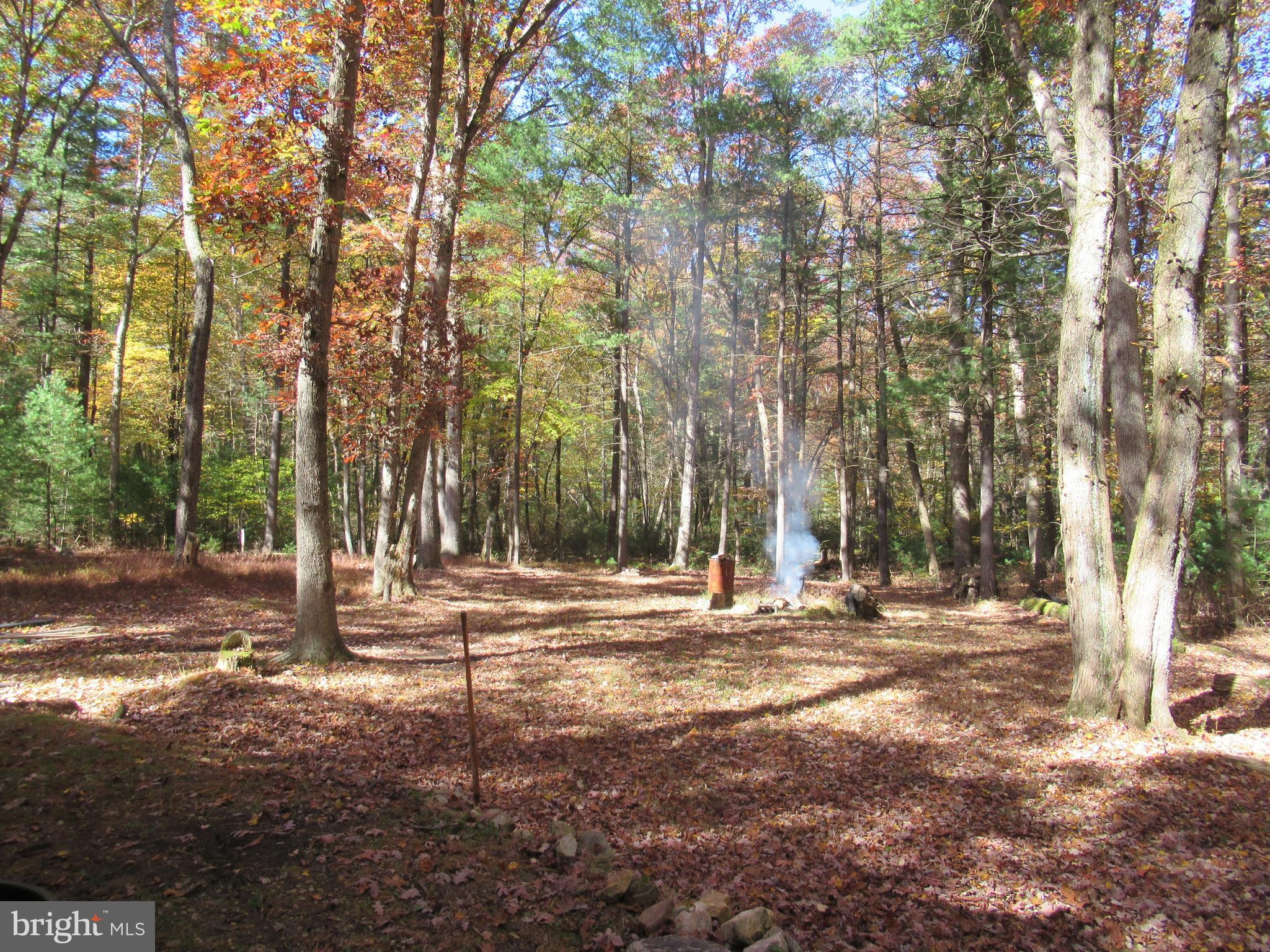 250 Norris Road Biglerville, PA 17307 - Photo 21 of 22 Backyard